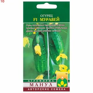 Семена огурцов муравей