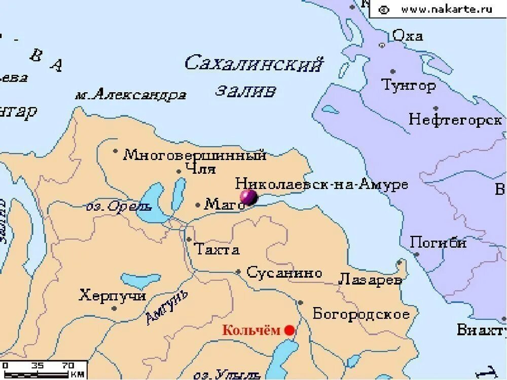 Где николаевск на амуре