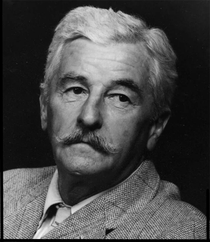 Стивен кинг. Самые известные американские писатели. Стивен стинг. Ричард бахман. Стивен эдвин кинг.