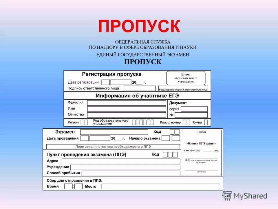 Скопировать пропуск. Пропуск образец. Пропуск на ЕГЭ. Пропуск на экзамен. Пропуск выпускника.