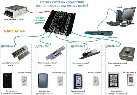 Скуд что это такое расшифровка
