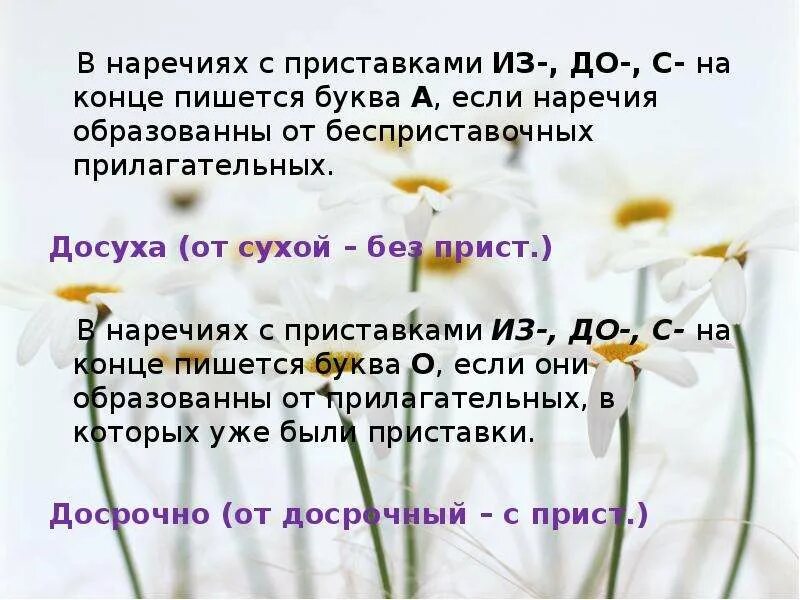 Поутру наречие. В конце как пишется. В наречиях с приставками из- до- с- на конце пишется буква о. В конце то концов как пишется. Безразличие в конце пишется м буква или нет.