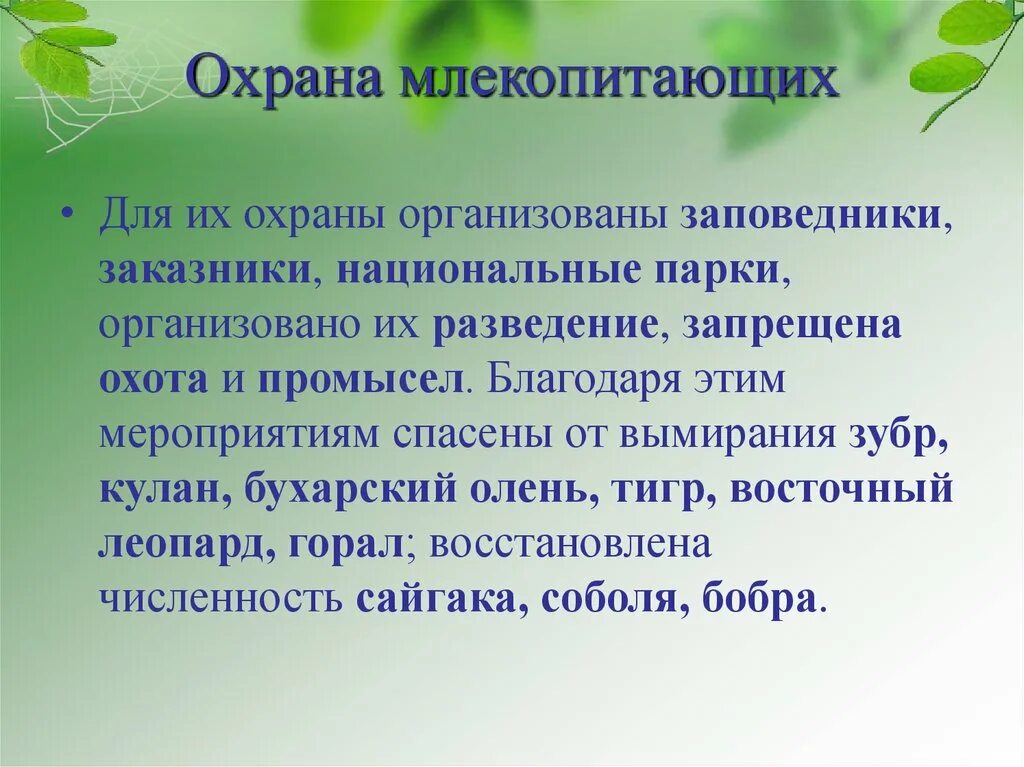 собо охраняемые территории" роосссииии. особо охраняемые территории заповедники россии карта. оопт заповедники россии. оопт заповедники россии. правовой режим государственных природных заповедников.