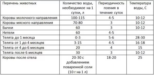 Температура воды для поения коров. Количество воды в день теленку. Сколько пьют воды телята в сутки. Нормы температуры воды для поения коров.