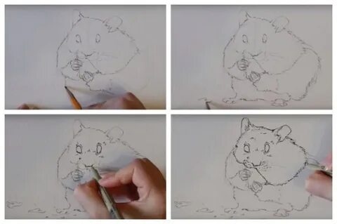 Как нарисовать хомяка поэтапно