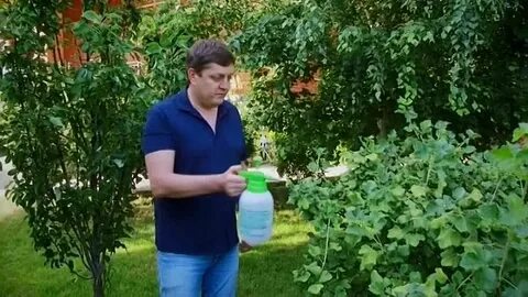 Сад и огород адская смесь