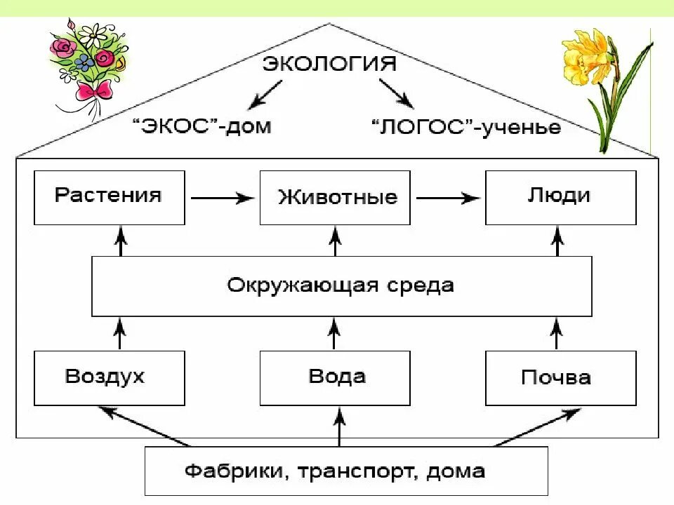 Окружающий мир 3 класс проверочная экология. Экология это 3 класс. Что такое экология 3 класс окружающий мир. Экология схема 3 класс. Окружающий мир 3 класс тема экология.