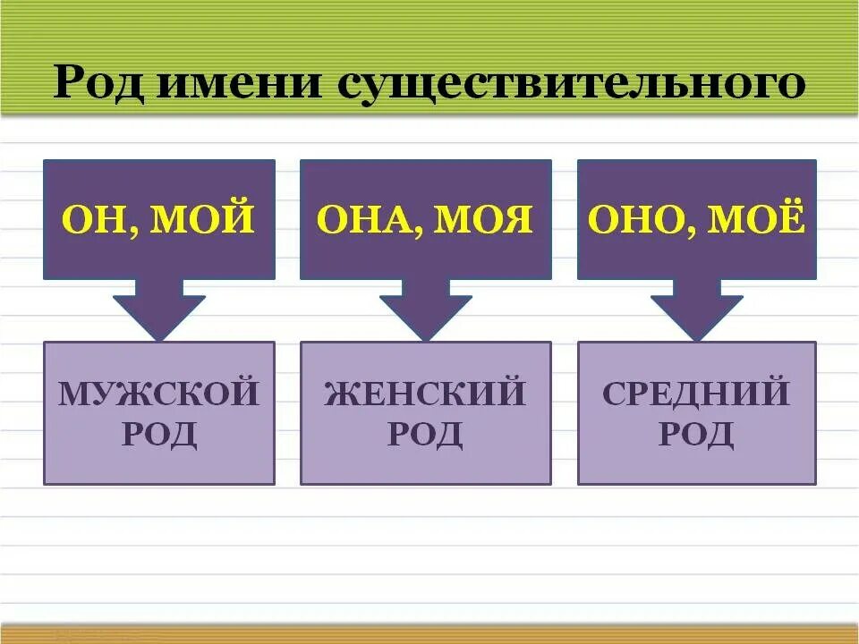 Род имен существительных. Табличка родов имен существительных. Род имёнисещиствительных. Крот имен существительных.