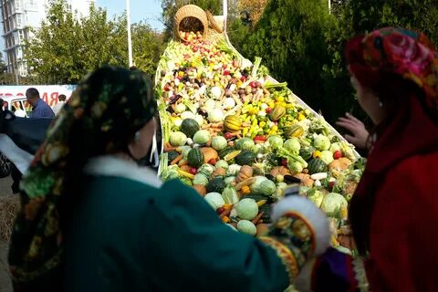 Урожай кубани