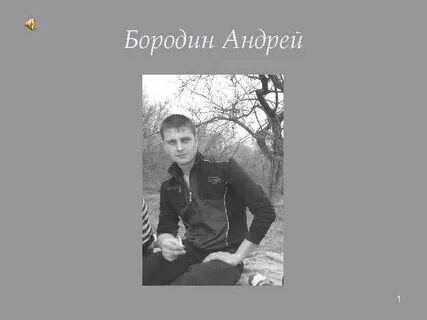 Фамилии бородино