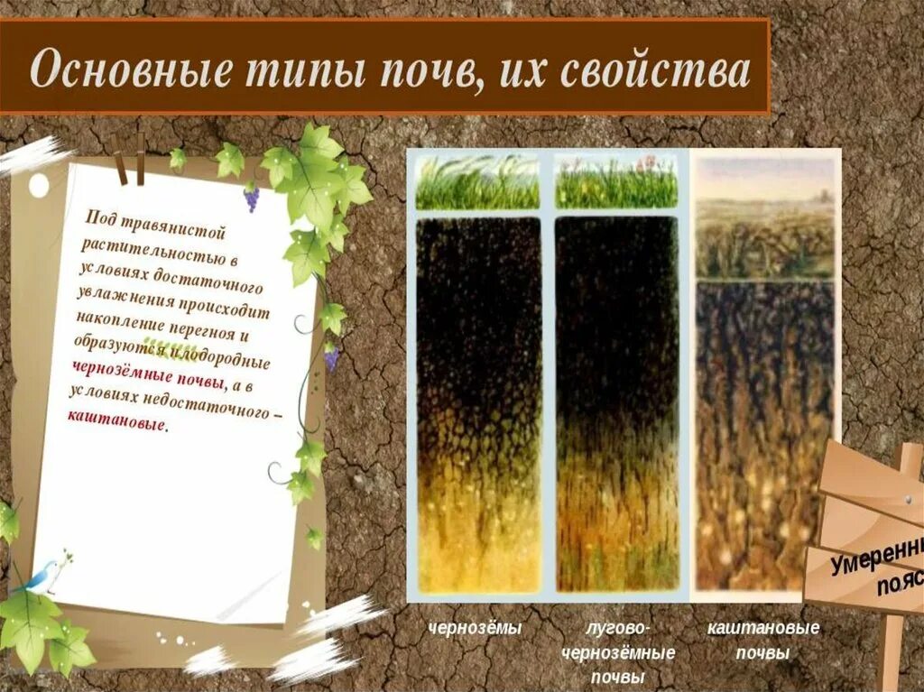 Цвет лугово черноземных почв. Лугово-Черноземная почва свойство почвы. Лугово-черноземные почвы характеристика. Лугово-черноземные почвы профиль. Наиболее плодородными почвами являются чернозем