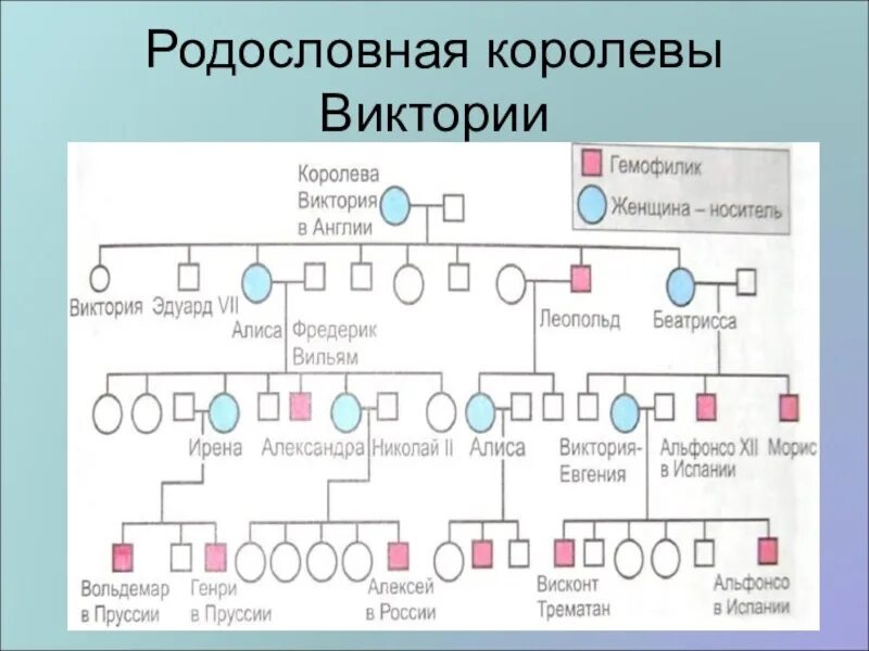 Фамилии генетика. Родословная королевы Виктории. Генеалогическое Древо королевы Виктории. Семейное Древо королевы Виктории.