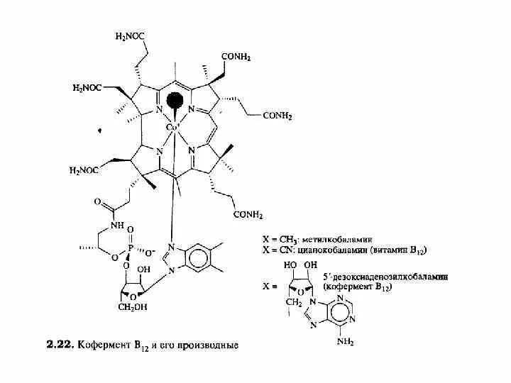 Ферменты коферменты витамины. Механизм витамина в12 метилкобаламин. Кофермент кобаламина. B12 кофермент. Витамин b12 кофермент.