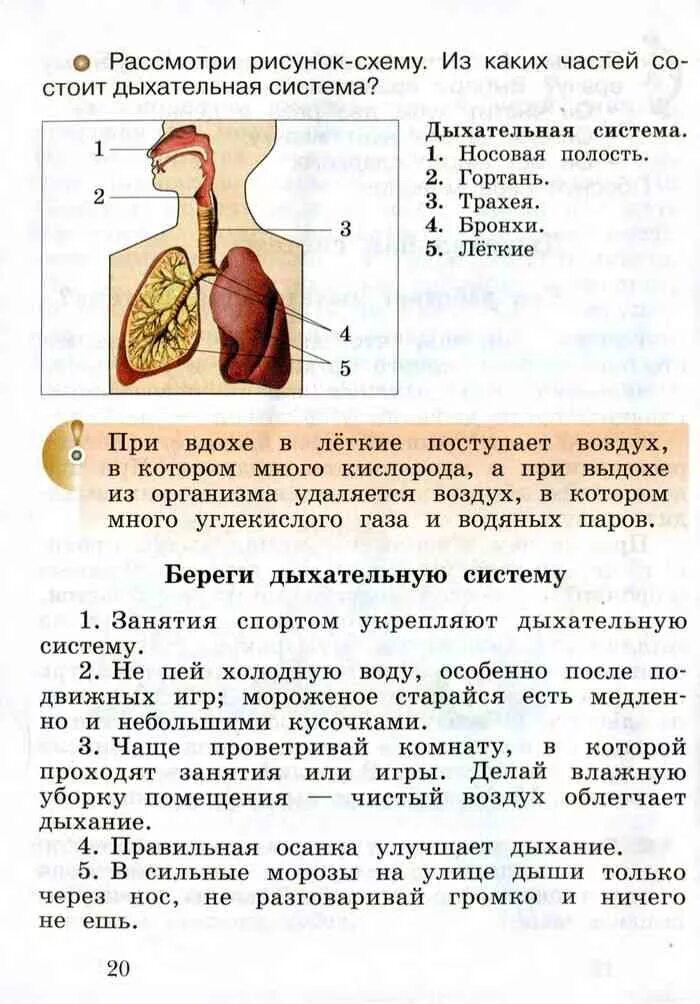 Четвертый класс учебник виноградова. Окружающий мир 4 класс учебник 1 часть Виноградова Калинова. Учебник по окружающему миру 4. Учебные пособия по окружающему миру 4 класс. Окружающий мир 4 класс учебник Виноградова.