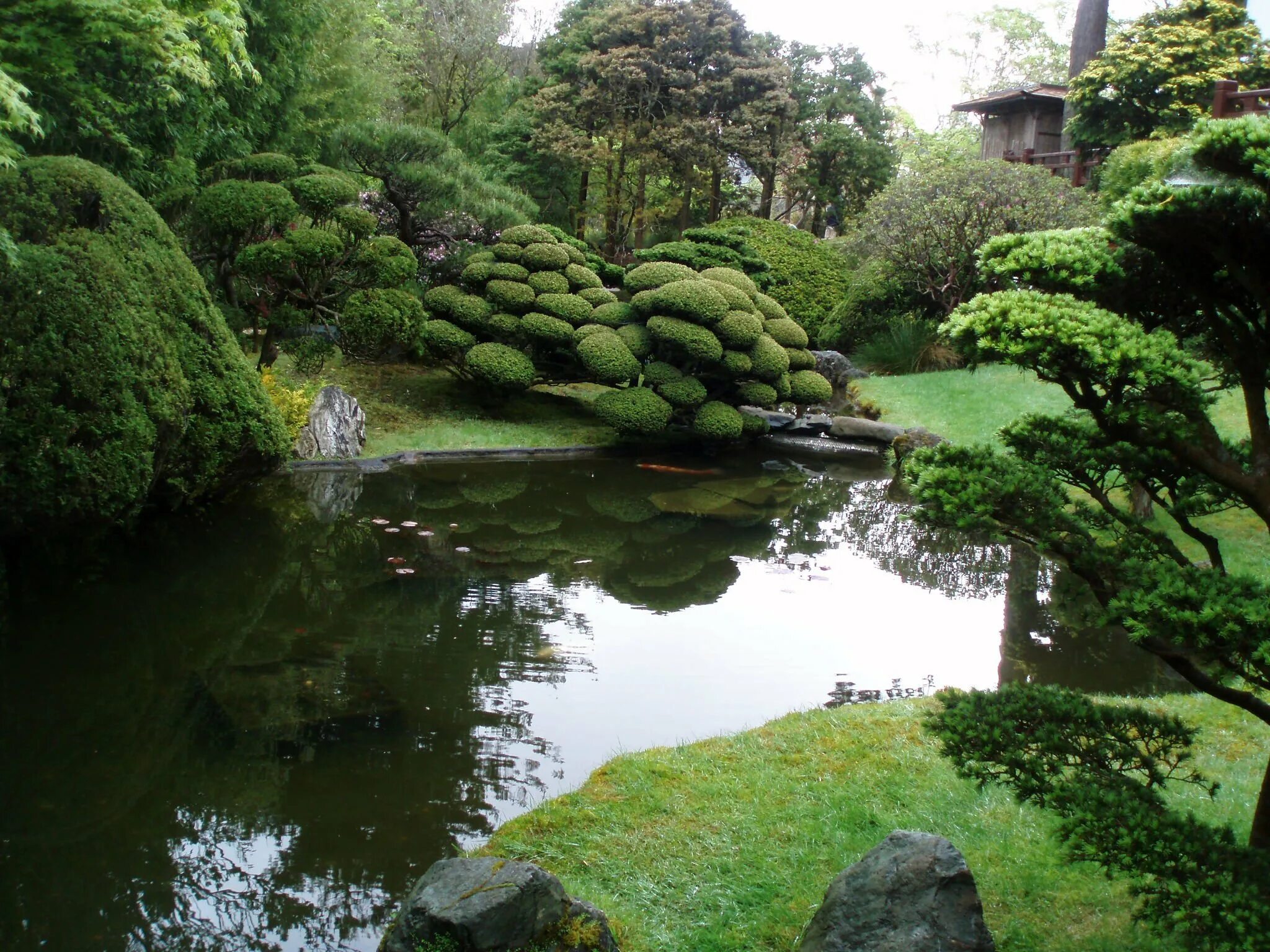 Сады исы. Киотский Ботанический сад в Японии. Японский чайный сад, парк «золотые ворота», Сан-Франциско, США. Воронцовский парк японский сад. Японский сад в Ботаническом саду.