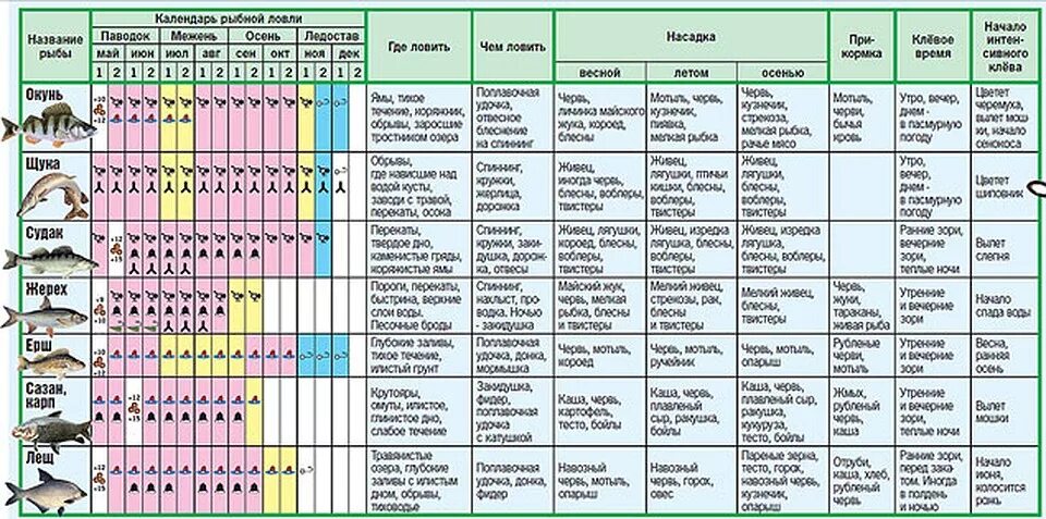 Рыбалка таблица клева. Календарь рыболова. С какого числа можно ловить рыбу. Календарь лова рыбы. Когда начинается нерестовый запрет