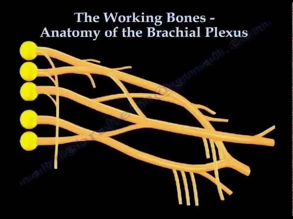 Bone works