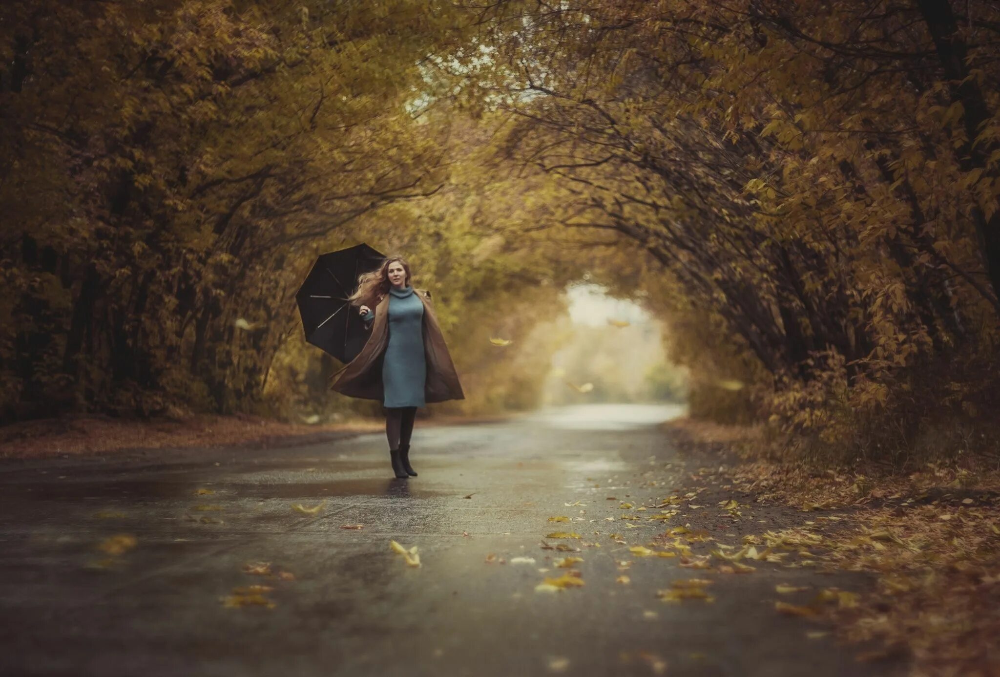 Грустные песни осени. Осенняя грусть. Девушка в осенней аллее. Девушка с зонтом. Девушка с зонтом в осеннем парке.