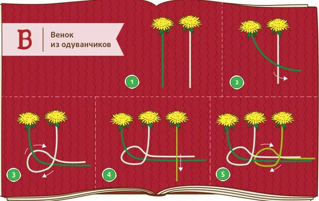 Как плести венок из одуванчиков. Сплести венок из одуванчиков. Плетение венка из одуванчиков. К плести винок из одуванчик. Как плести пленки из одуванчика.