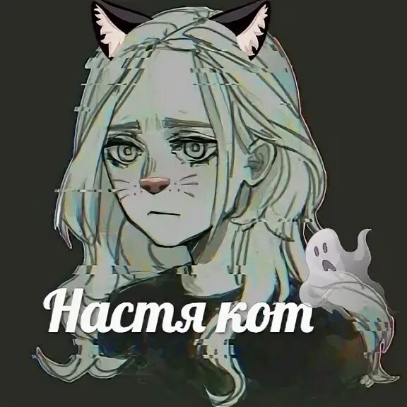 Грустит один котик. Настя кот. Настя котик. Настя кот. Настя кот.