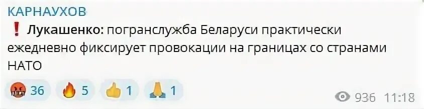 Кошкин Сибиряк телеграмм. Кошкин Сибиряк телеграмм канал. Кошкин сибиряк телеграмм телеграм