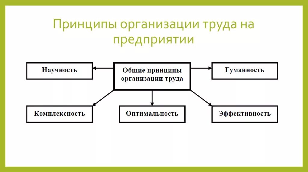 Элементы и принципы организации труда. Принципы организации труда. Общие принципы организации труда. Принципы организации труда персонала. Курсовая организация труда предприятии