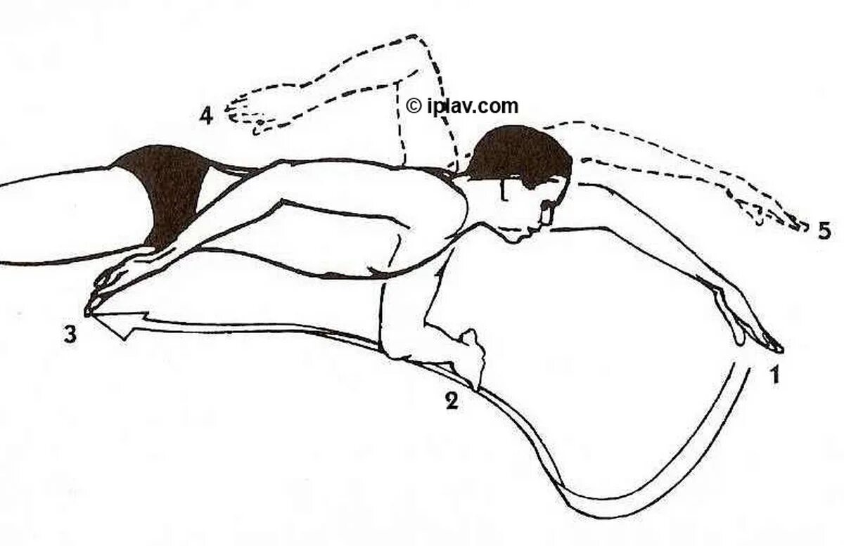 Методика плавания кролем. Кроль на груди движение рук. Схема плавания кролем. Техника плавания кролем движение. Техника плавания кролем на груди: движение руками и ногами.
