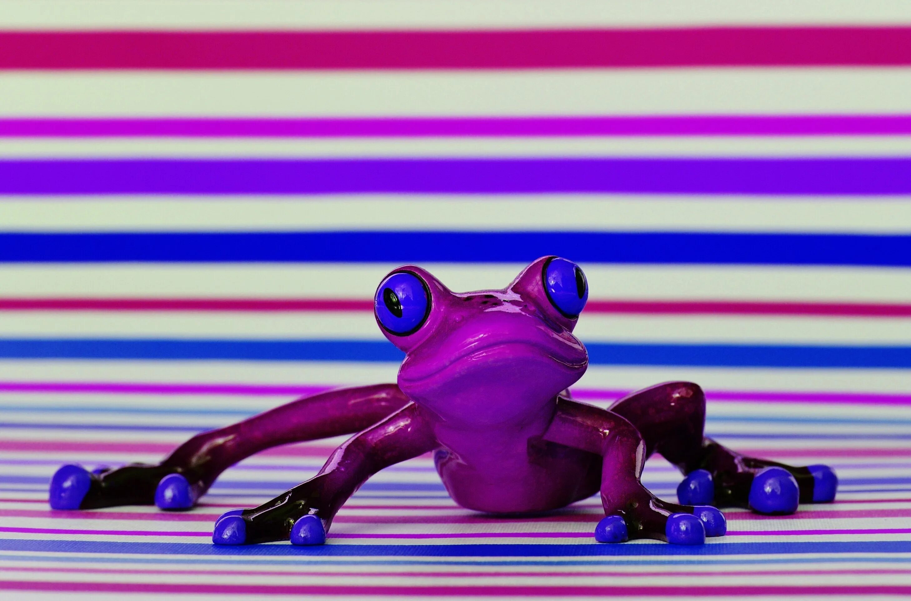 Фиолетовая лягушка. Сиреневая лягушка. Фиолетовый Лягушонок. Лягушка милая фиолетовая.