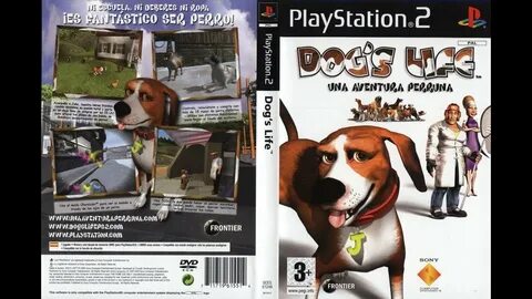 The dog gaming