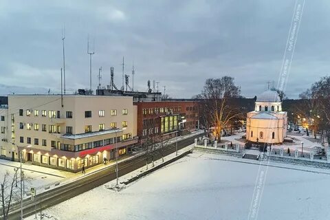 Городская ло