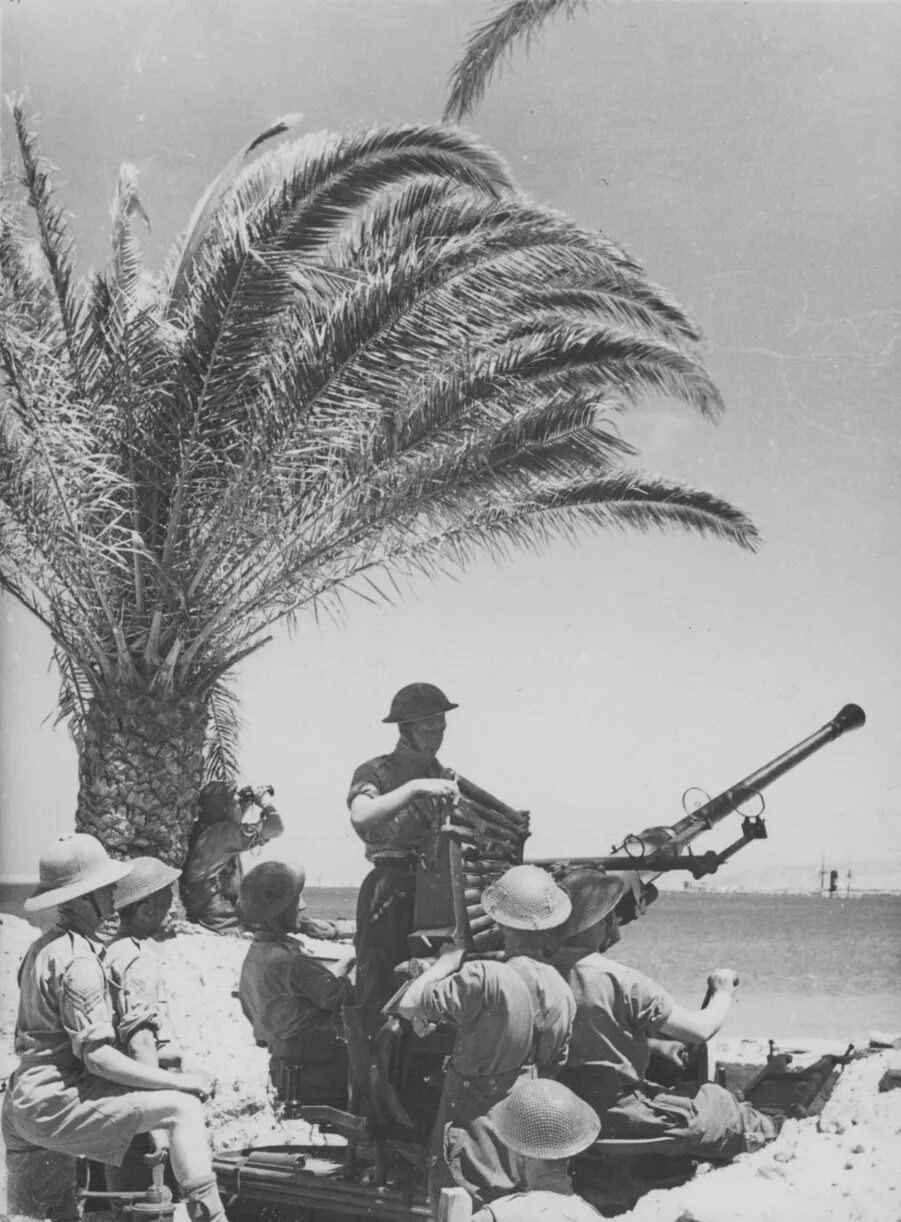 северо-африканская компания 1941. северная африка во второй мировой войне. североафриканская кампания второй мировой войны. американские солдаты североафриканская кампания 1943. североафриканская кампания второй мировой войны.