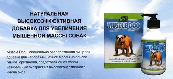 Витамины для собак для мышечной массы. Витамины для собак для набирания мышц. Витамины для собак для увеличения мышечной массы. Таблетки для мышц собак. Как давать витамины собаке