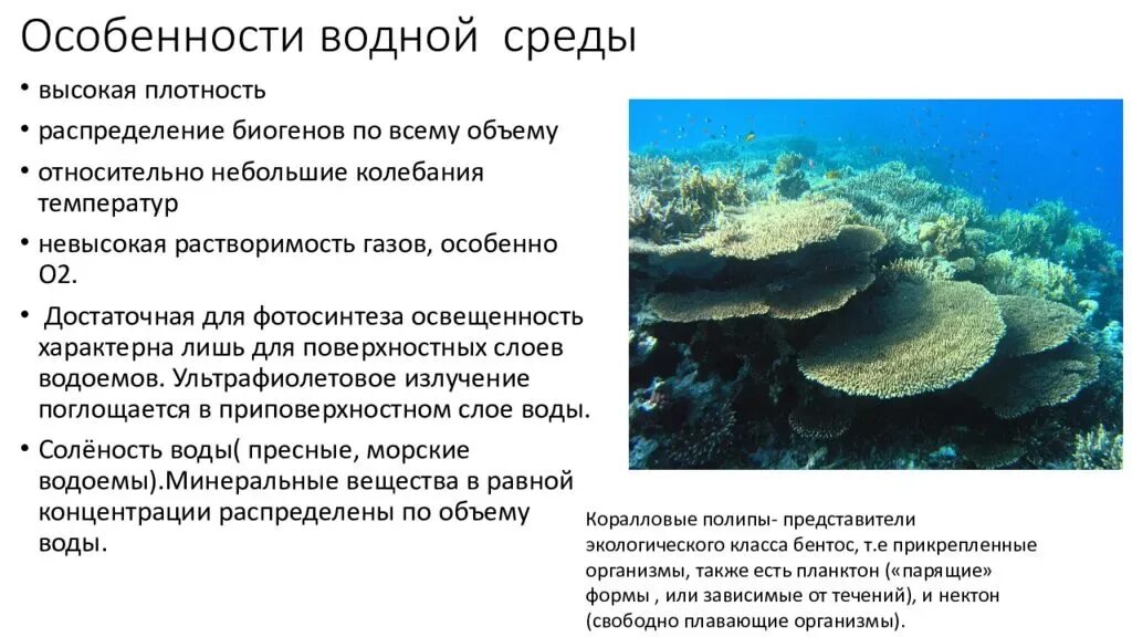 Какая температура в водной среде обитания. Особенности водной среды обитания. Характеристика водной среды. Водная среда обитания особенности среды. Среды жизни организмов.