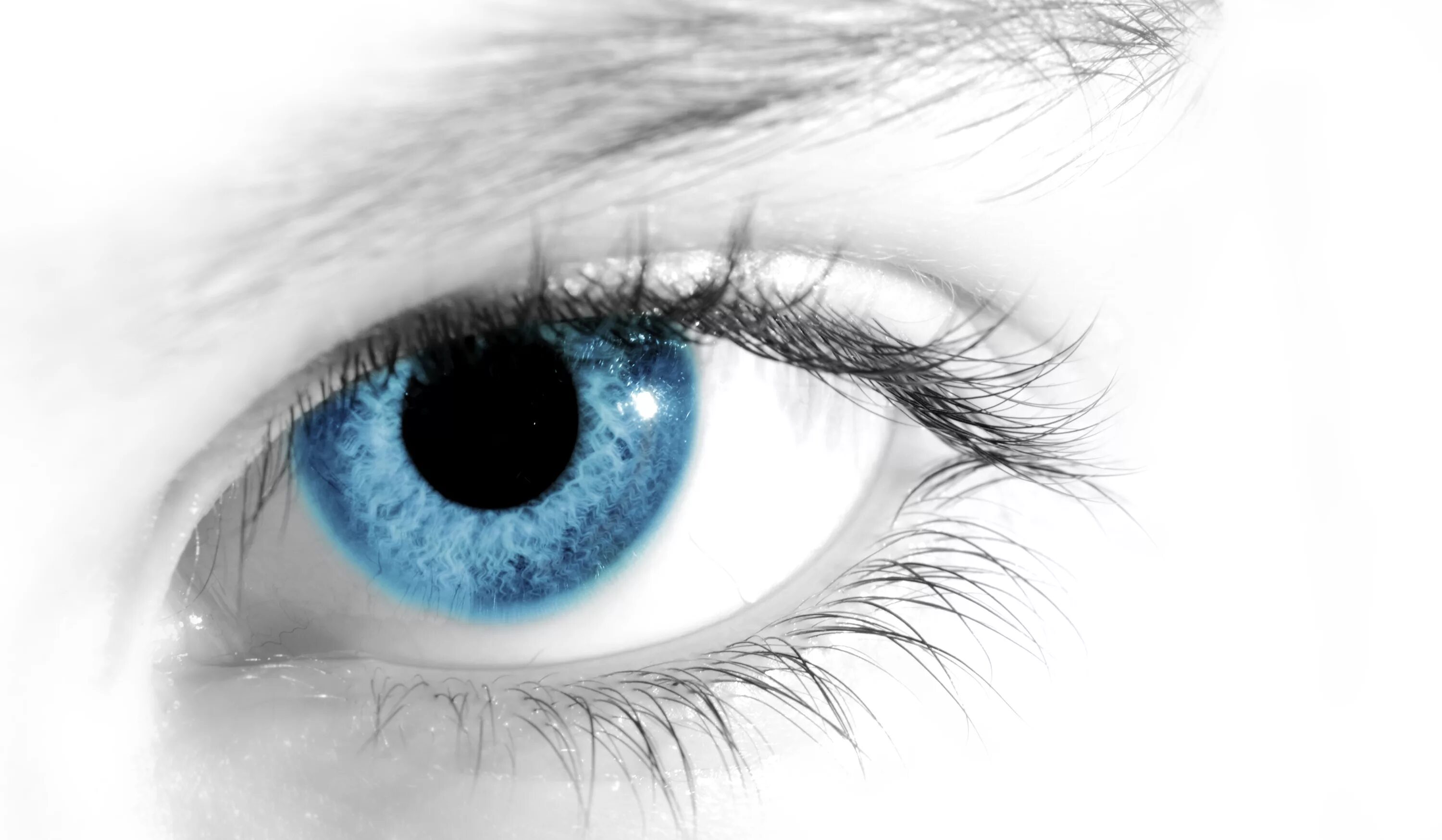 Включи картинку глаза. Голубые глаза. Красивые глаза. Глаза на белом фоне. Синие глаза.