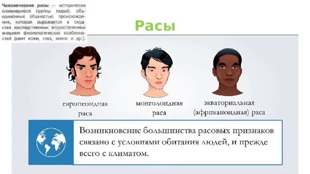 Различие красота. Человеческие расы. Расовые признаки. Современные расы. Расовые классификации.