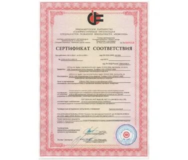 Сертификат на первого