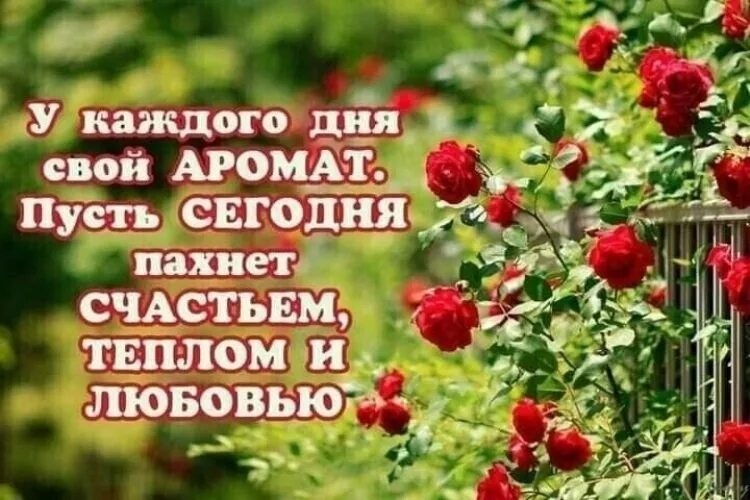 Хорошо каждый день приносит радость. Счастье в каждом дне. Пусть день. Пусть этот день. У каждого дня свой аромат счастья.