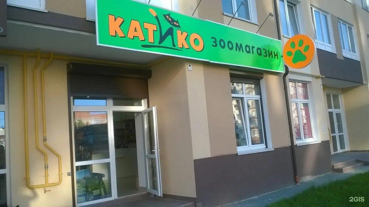 катико зоомагазин. катико зоомагазин калининград. катико зоомагазин калининград. катико зоомагазин. катико зоомагазин калининград.