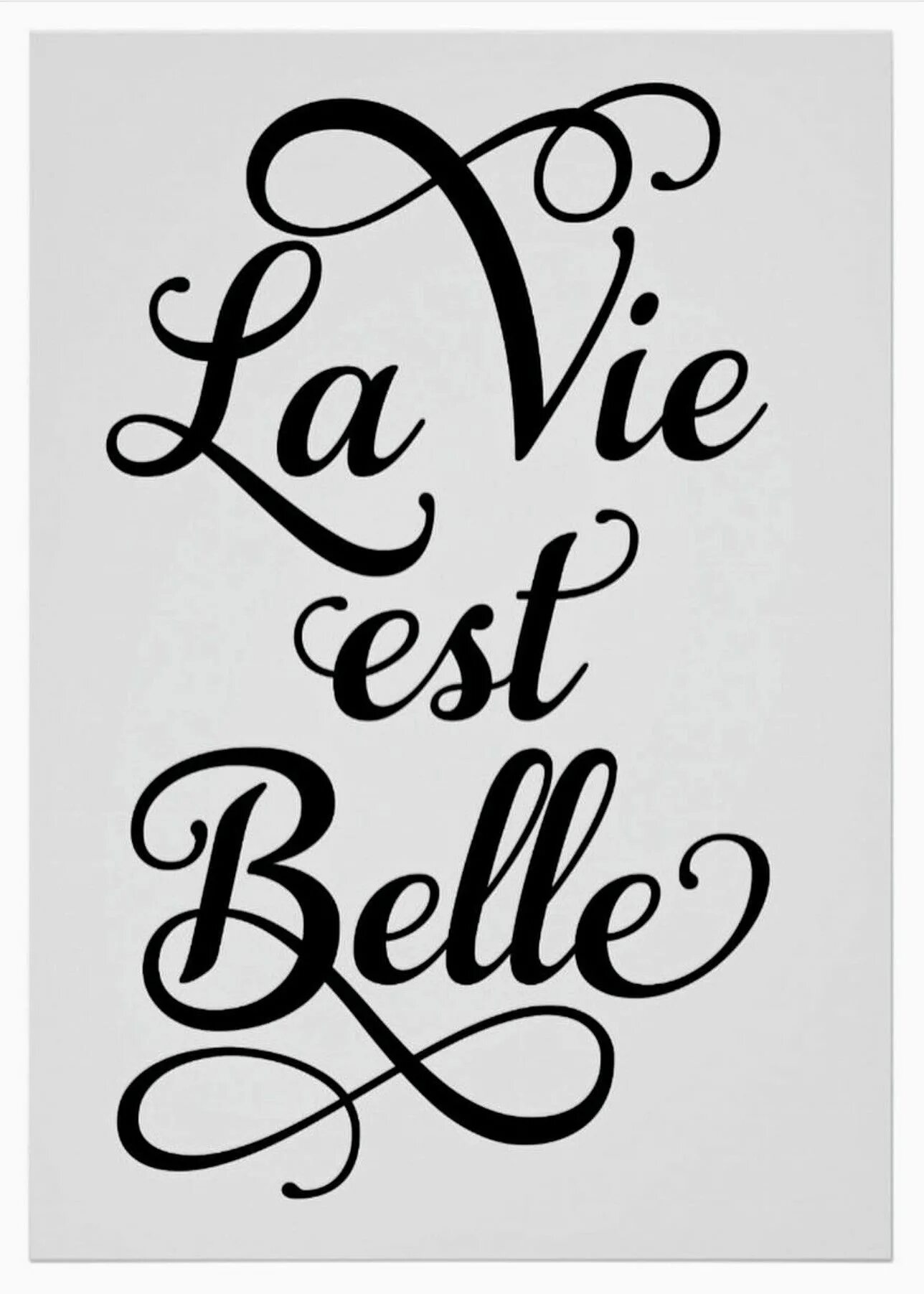 Жизнь красивый шрифт. Красивые надписи. Надпись на английском красивым шрифтом. Надписи на французском. Красивые надписи на французском.