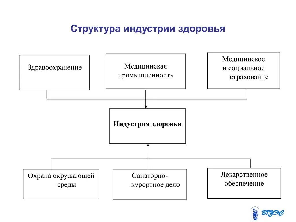 Диаграмма здоровья. Структура и функции центра здоровья. Уровни структуры здоровья. Здоровье строение. Социальная структура здоровья.