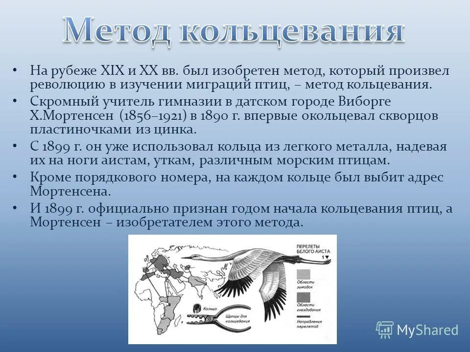 Миграция птиц кольцевание