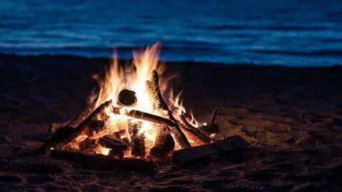 Lake worth beach bonfire