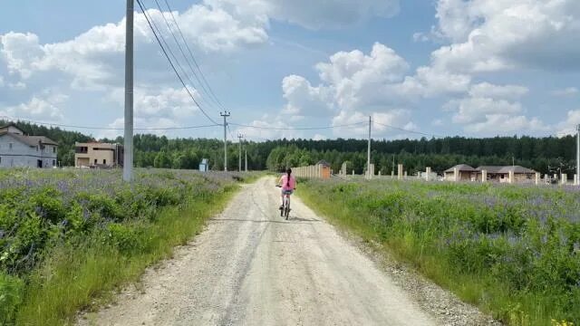 Гусева деревня свердловская область