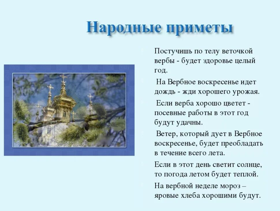Молитва на вербу дома. Вербное воскресенье приметы и поверья. народные приметы на вербное воскресенье. приметы связанные с вербой. приметы на вербное воскресенье на вербу.