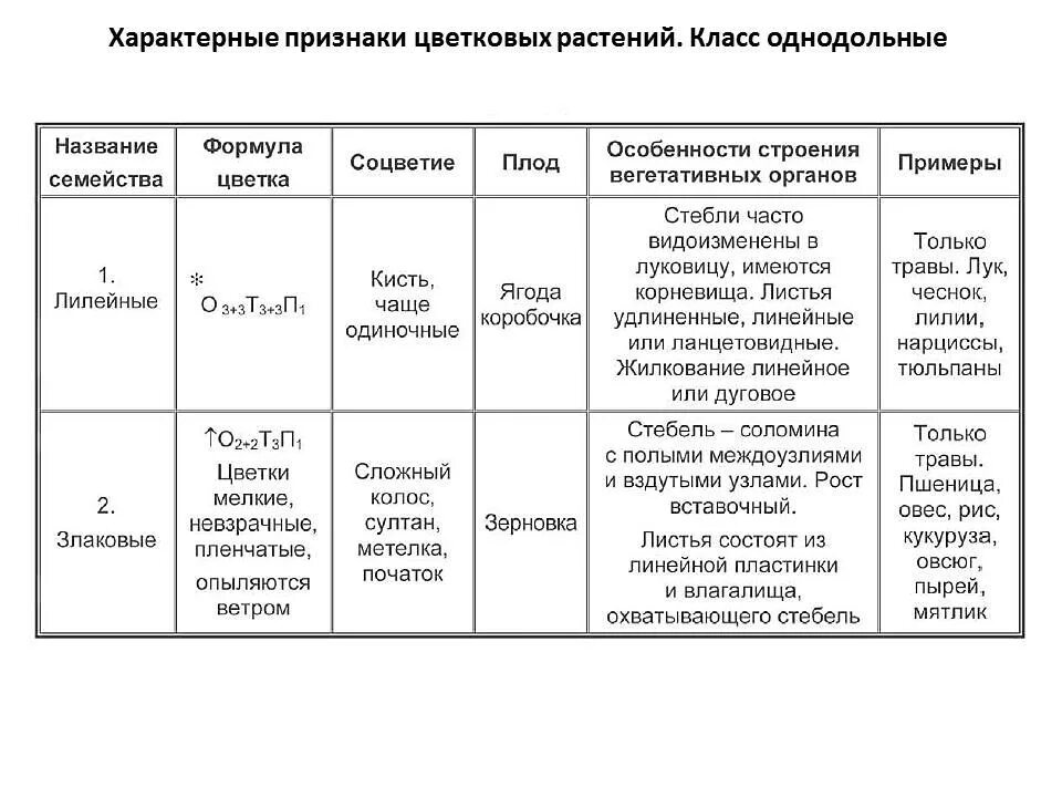 ДАЮ 30 баллов! Помогите,составьте таблицу по однодольным .Заранее спасибо. - Zna
