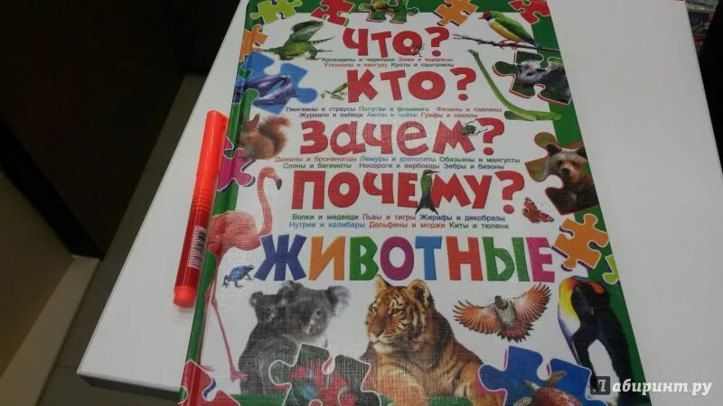 Большая детская энциклопедия животных Скиба. Кто что зачем книги. Что? Зачем? Почему?. Книга Рублев. Моя новая жизнь в мире зверей читать