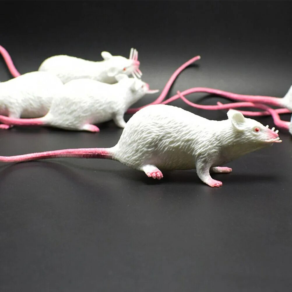 Модели мышей. Пластиковая мышка. Игрушка мышка пластмассовая. Крыса игрушка реалистичная. Игрушки мыши пластиковые.