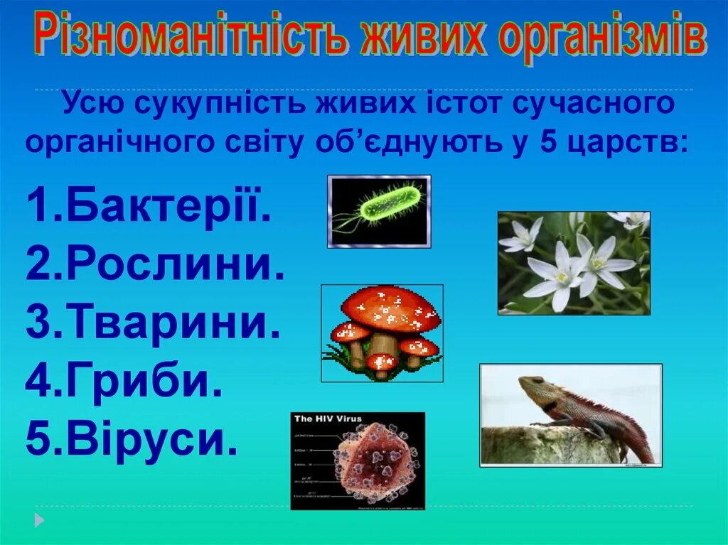 Набор живая природа. Примітивні багатоклітинні організми серед рослин. Приклади природного середовища існування. Організми які живуть на межі водного та повітряного середовища. Живі організми.