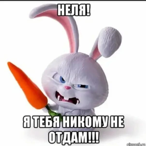 Никому не отдам. Неля приколы. Неля я тебя люблю. Никому не отдам сама буду мучить. Ахахха