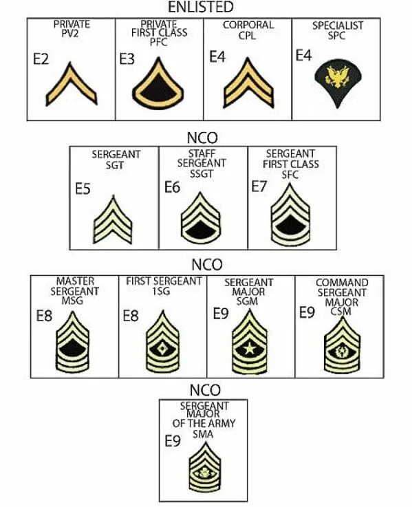 E rank. Enlisted значок. Enlisted карты. Раскраска enlisted. Us Army Ranks.